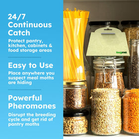 BugMD Pantry Moth Traps strong-glue securely captures moths