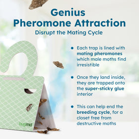 BugMD sticky moth traps are easy to peel and place anywhere