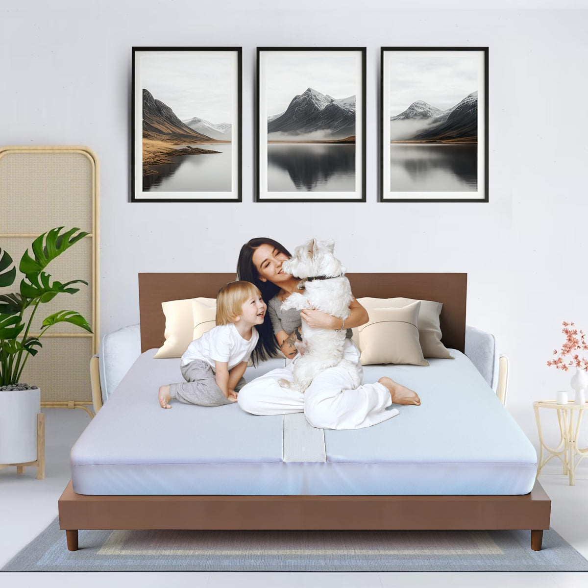 Buve Bed Bridge showcases stable connection across twin beds