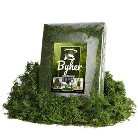 BYHER bulk moss 32oz green close-up shows vivid, fade-resistant color for planters.