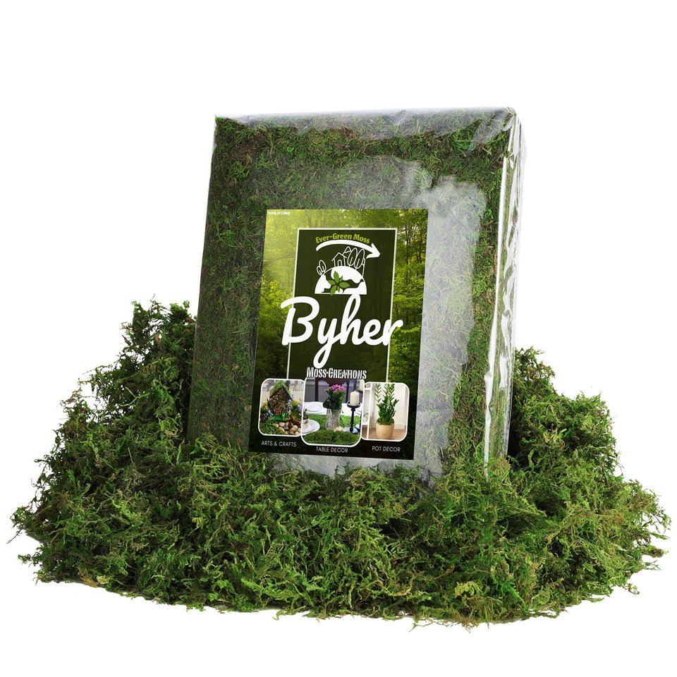 BYHER bulk moss 32oz green close-up shows vivid, fade-resistant color for planters.