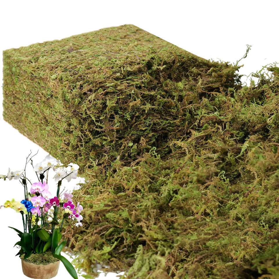 BYHER fake moss in a large bag enhances decor with maintenance-free greenery.