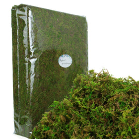 BYHER green moss fairy garden scene with lifelike texture.