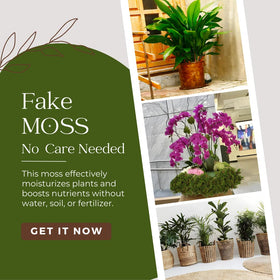 BYHER green moss floral arrangements gain natural texture and fullness.