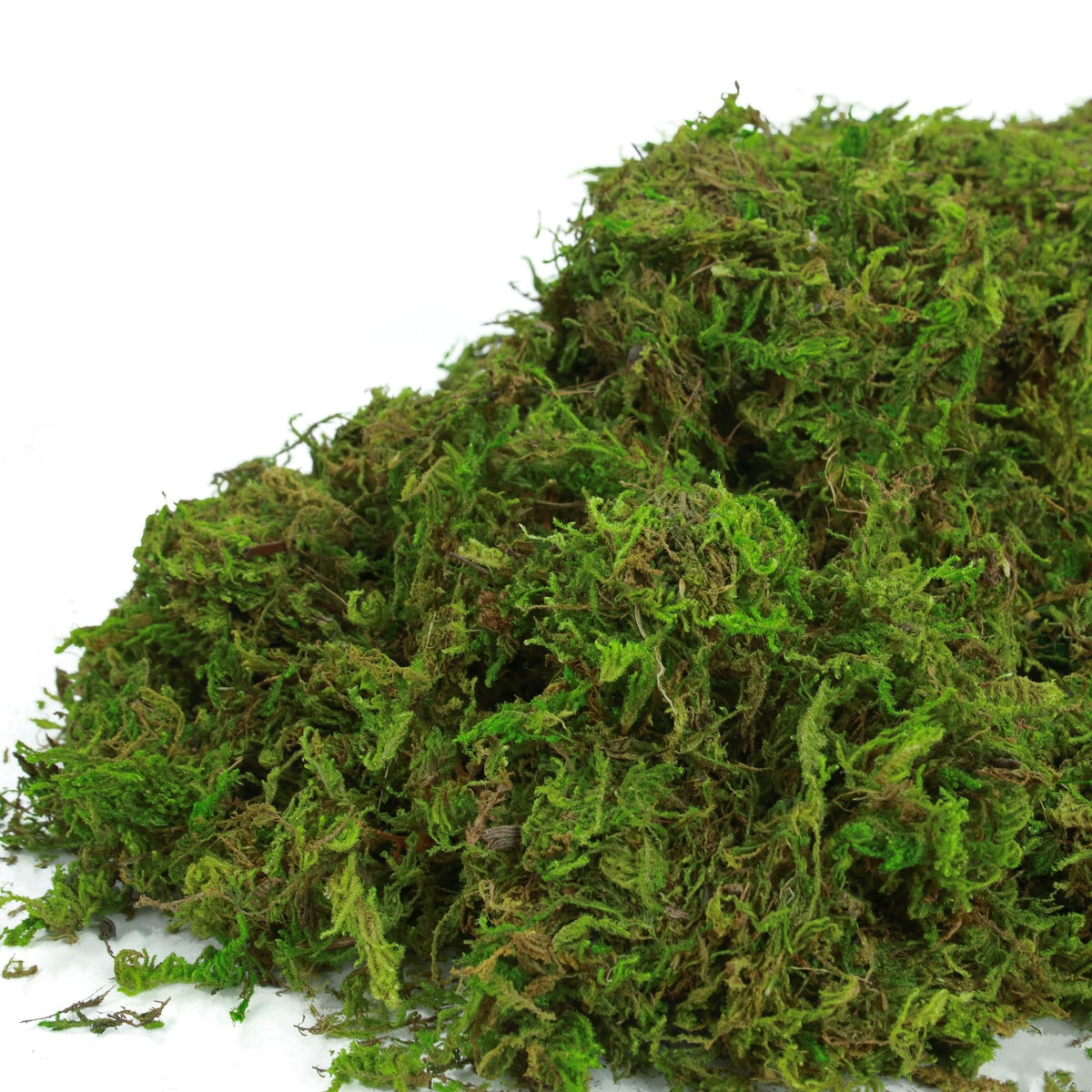 BYHER green moss wedding decor accents for natural touches.