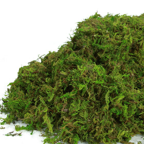 BYHER green moss wedding decor accents for natural touches.