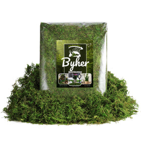 BYHER indoor-outdoor moss filler fits pots indoors or out for all-season décor.