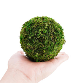 BYHER moss balls used as vase fillers elevate everyday decor with subtle elegance