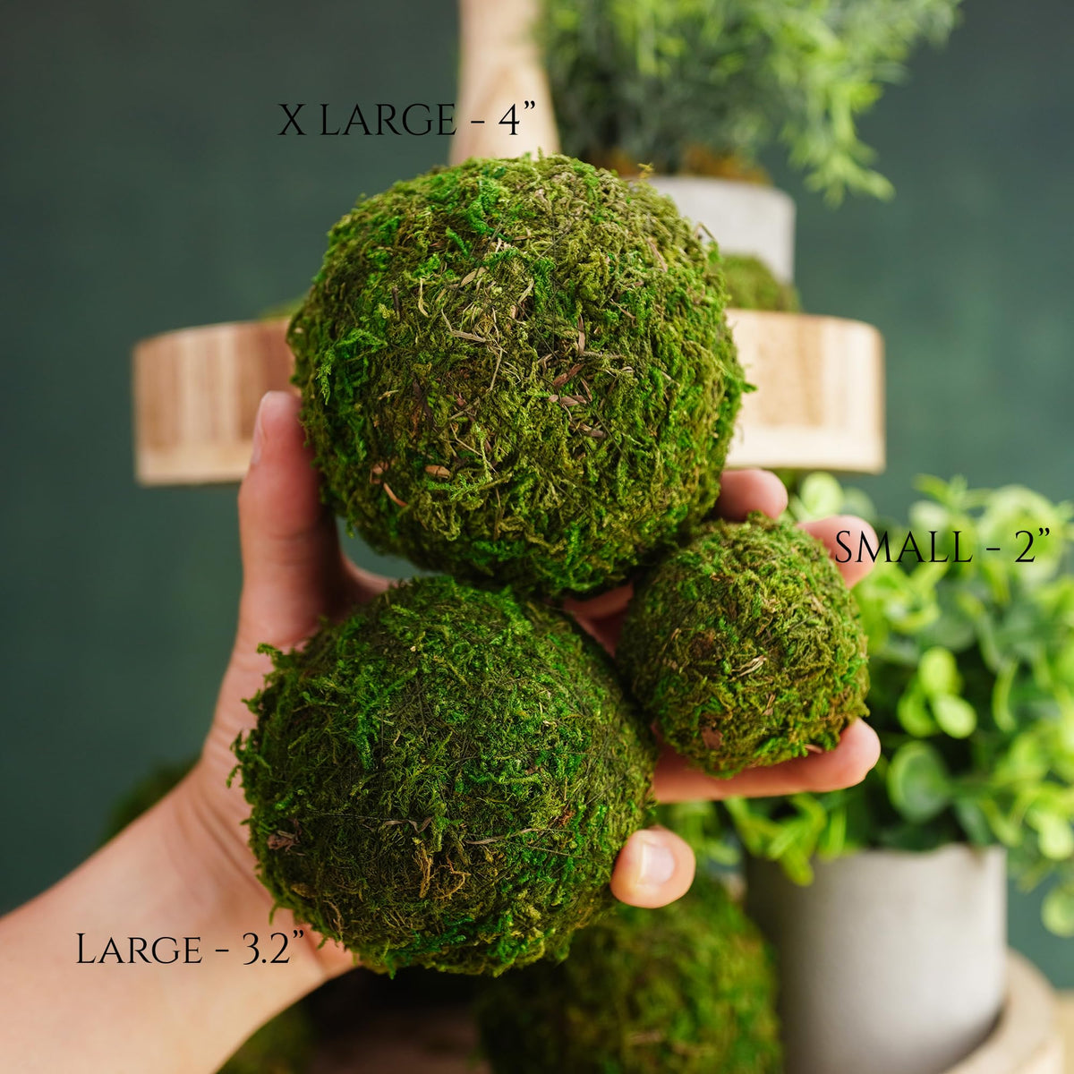 BYHER 4-inch moss balls enhance table decor with timeless texture