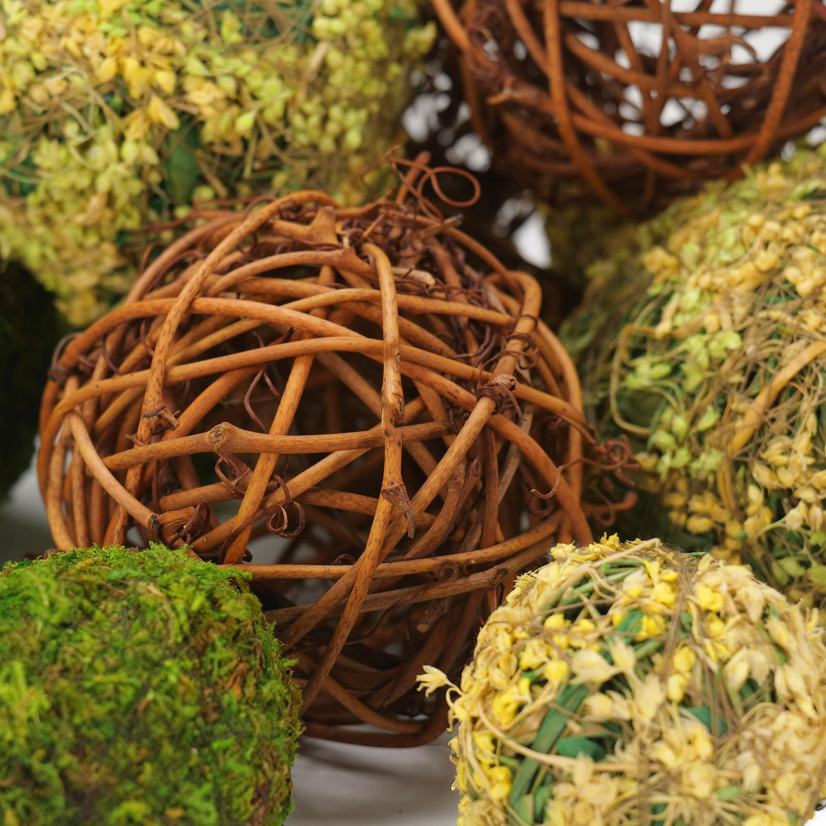 BYHER preserved flower ball, 9 cm, long-lasting natural decor ideal for year-round styling.