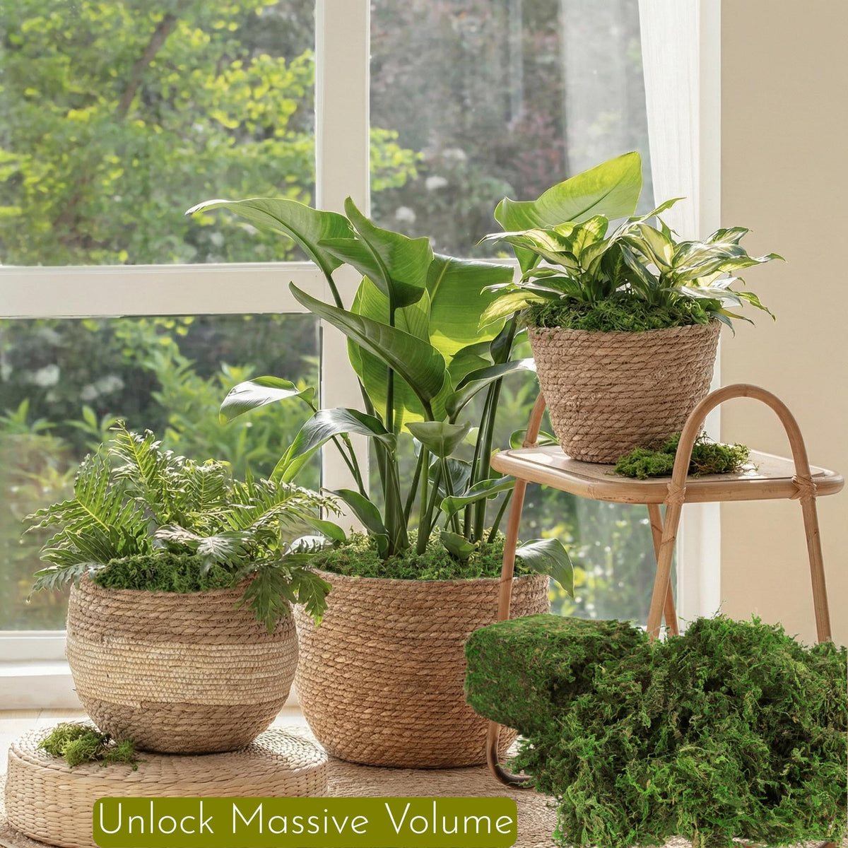 BYHER resealable moss bag keeps crafting moss fresh and accessible.