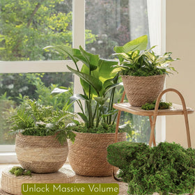 BYHER resealable moss bag keeps crafting moss fresh and accessible.