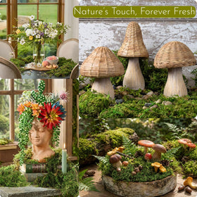 BYHER terrarium moss layer supports indoor greenery in terrariums.