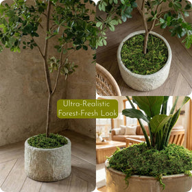 BYHER wedding centerpiece moss displays natural-looking greens for elegant decor.