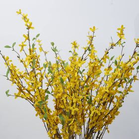 cacise forsythia branch decor for modern office spaces and reception areas.