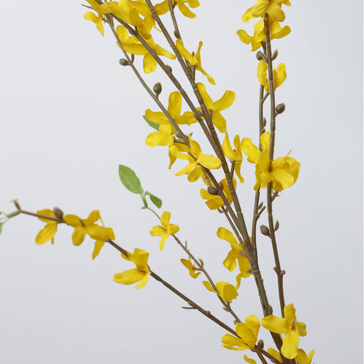 cacise yellow silk forsythia branch brightens dining tables and desks.