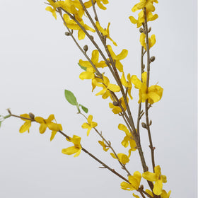 cacise yellow silk forsythia branch brightens dining tables and desks.