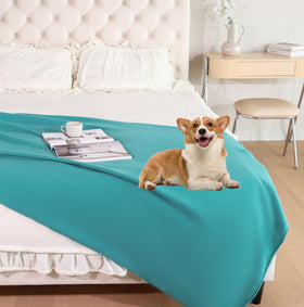 CAI TENG blue fleece throw draped on sofa for soft warmth