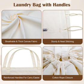 CALACH storage use case as a dustproof organizer