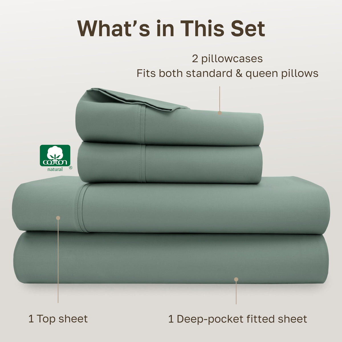 California Design Den sage green close-up reveals muted green with blue undertones.