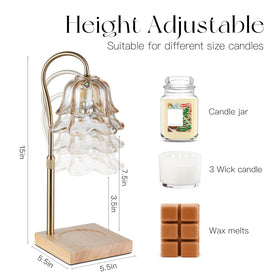 Candeldo crystal shade and gold arm create elegant focal point in any room.