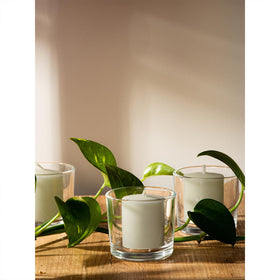 CANDWAX ivory votives stored in a cool, dry place.