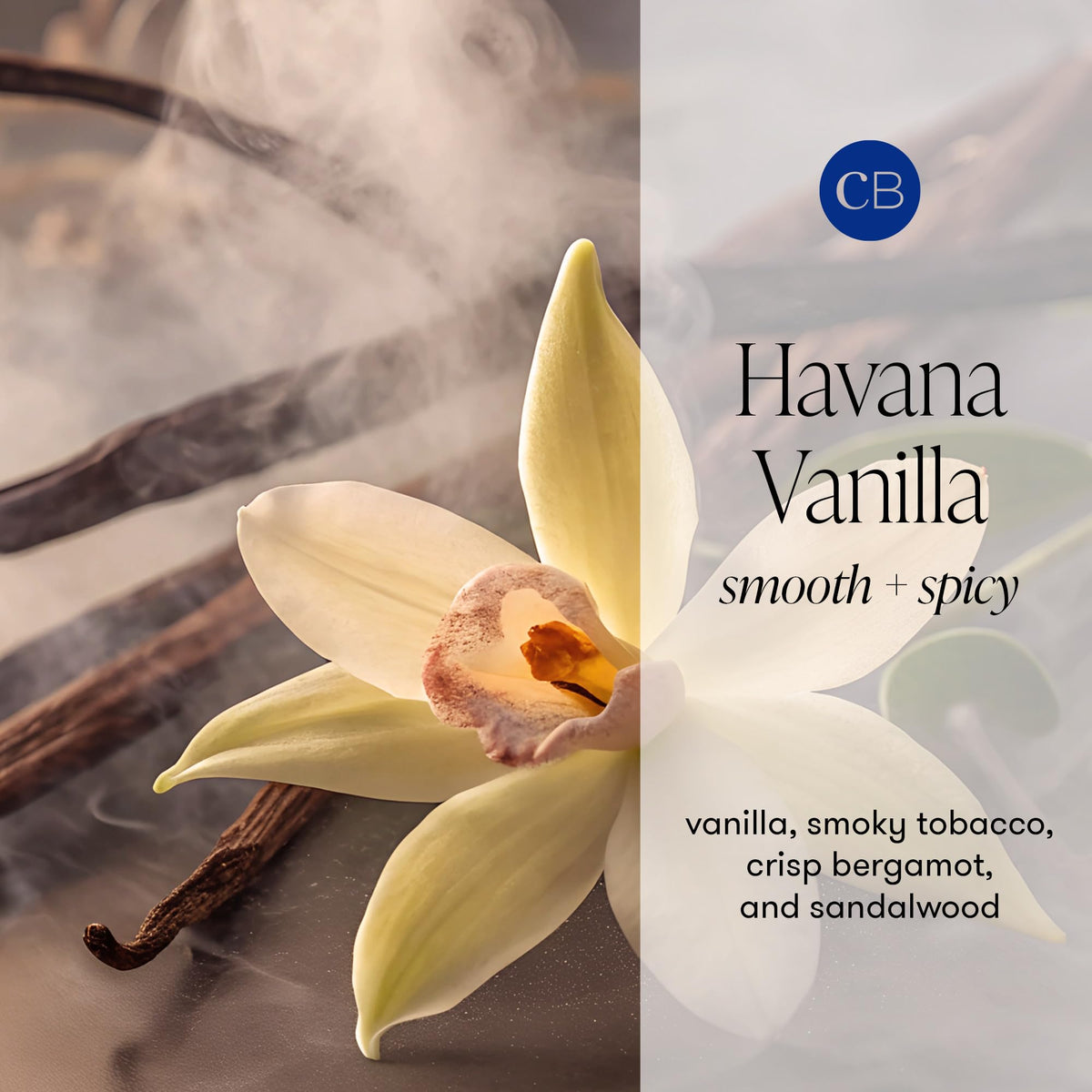 Capri Blue Havana Vanilla wax pool captured for an even melt and strong throw