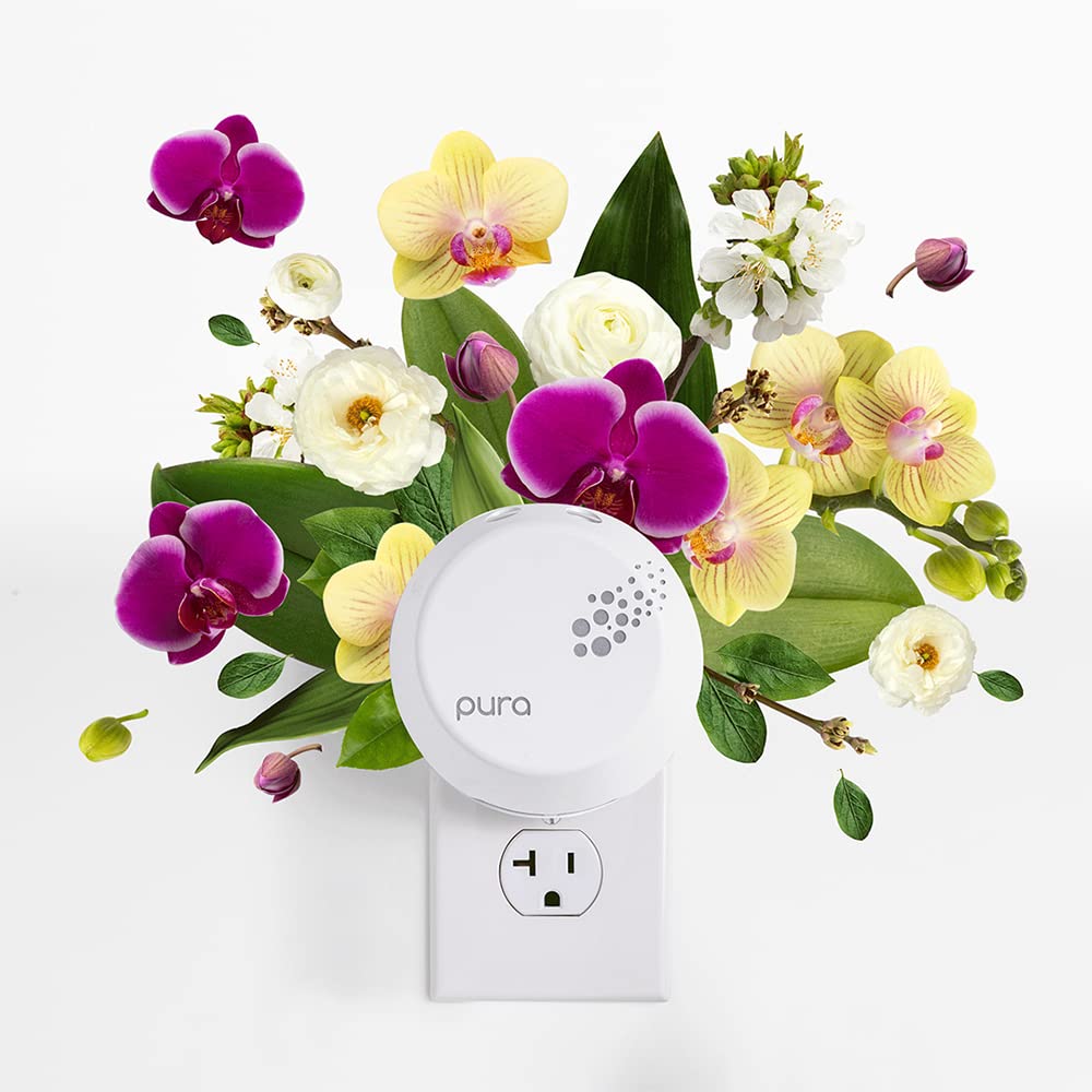 Capri Blue Pura fragrance notes include crisp apple and cinnamon
