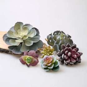 caqpo varied-textures pack adds depth to living room or office decor.