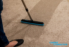 Carpet Corrector uses durable design to outlast daily use.