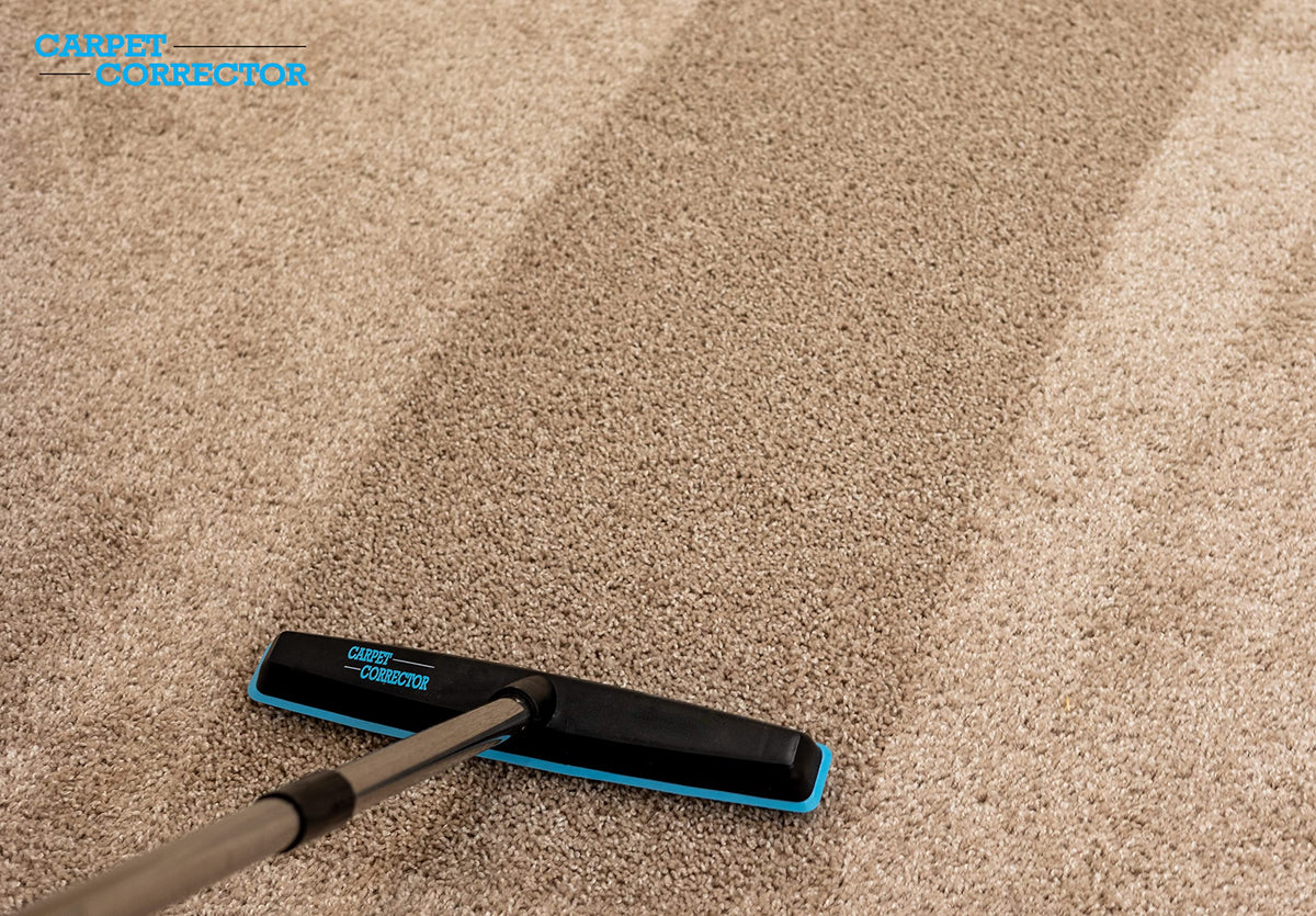 Carpet Corrector demonstrates ergonomic 4ft handle for back-friendly carpet rejuvenation.