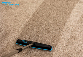 Carpet Corrector demonstrates ergonomic 4ft handle for back-friendly carpet rejuvenation.