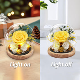 Casaido gift box and greeting card ready to gift