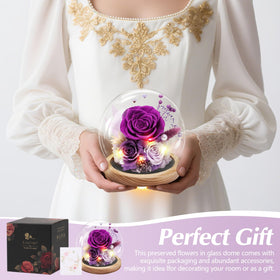 Casaido LED-lit base enhances the preserved rose with a warm glow.