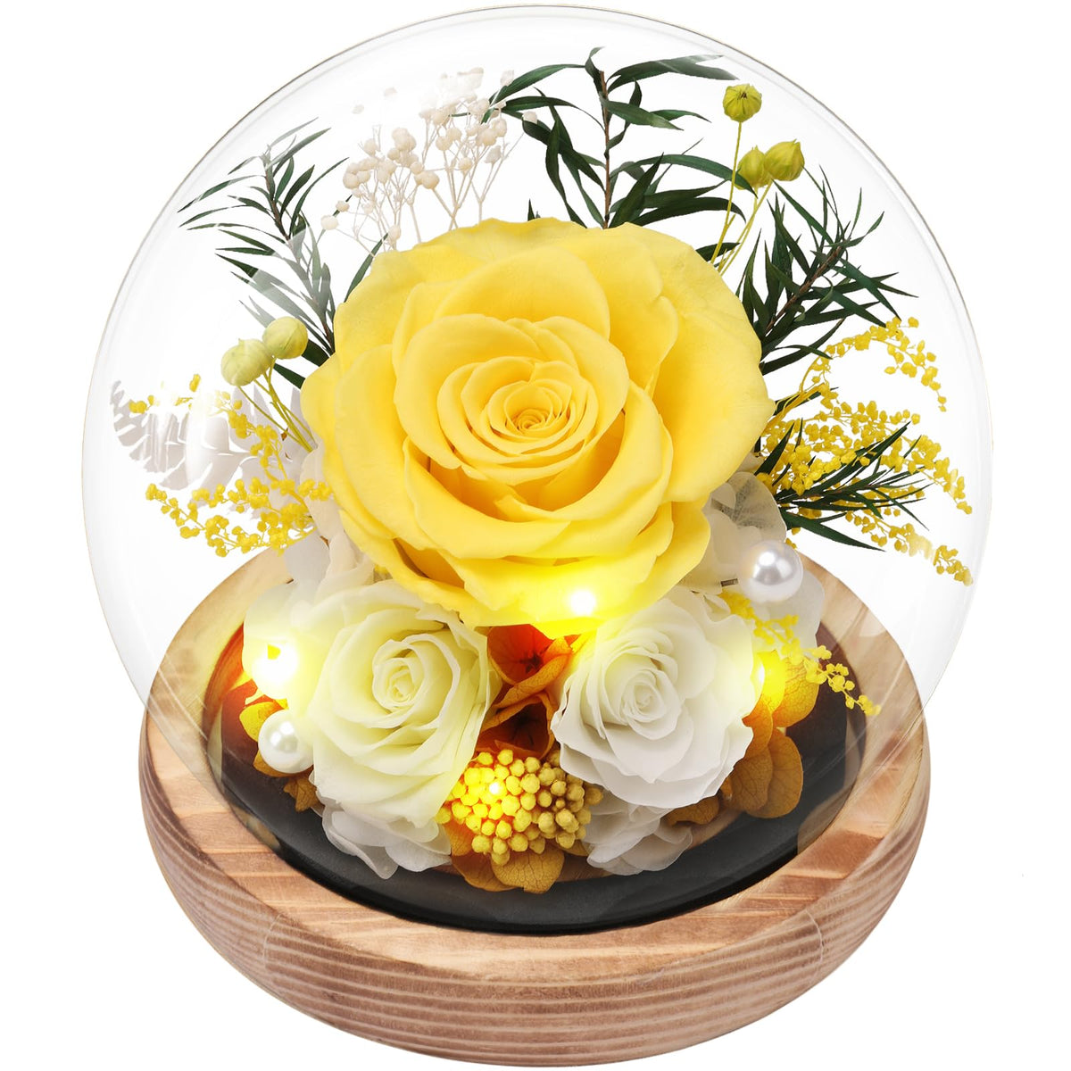 Casaido preserved roses yellow glass dome closeup shows lasting beauty without watering