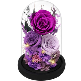 Casaido purple preserved rose in glass dome with lasting beauty for timeless decor.