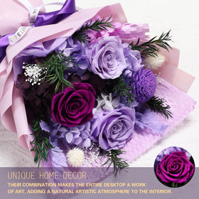 Casaido purple roses close-up highlights vibrant petals and delicate texture