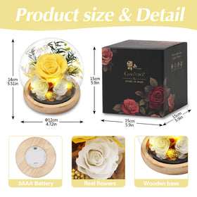 Casaido yellow rose dome display as an anniversary decor piece