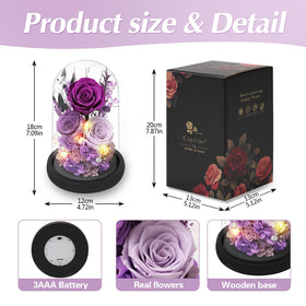 Casaido versatile centerpiece for tables, shelves, or desks.
