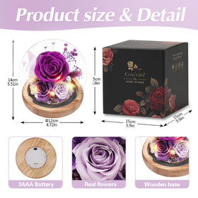 Casaido Valentine’s Day rose dome as a romantic, elegant gift idea.