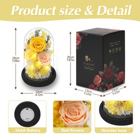 Casaido anniversary rose present ideal for birthdays or just-because moments.