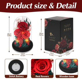 Casaido Mother's Day gift-ready rose display highlighting enduring beauty.