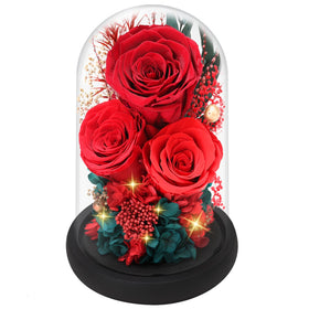 Casaido preserved rose in glass dome with LED base offering lasting color and subtle light.