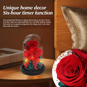 Casaido preserved rose glowing inside the glass dome for romantic ambiance.