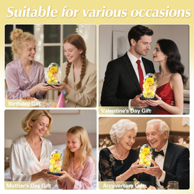 Casaido Valentine’s or Mother’s Day rose gift for a timeless gesture.