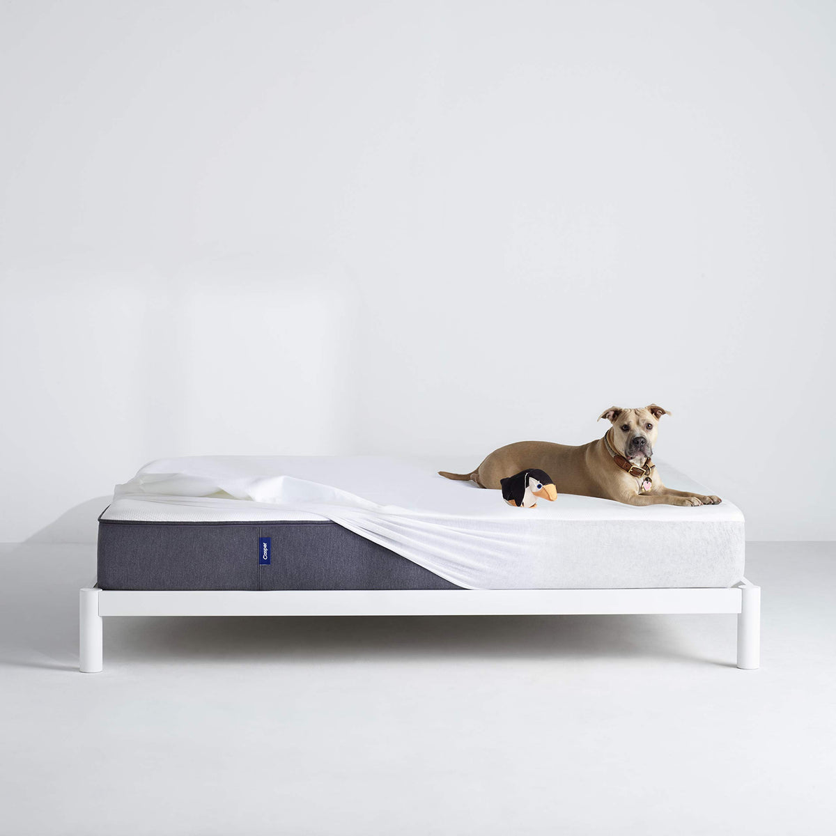 Casper Sleep Waterproof Mattress Protector on bed, fits securely up to 16 inches