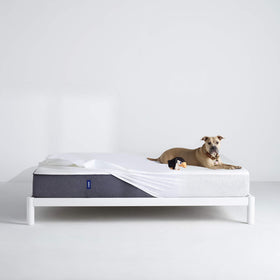 Casper Sleep Waterproof Mattress Protector on bed, fits securely up to 16 inches