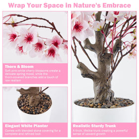 Caxchiling artificial sakura tree 2ft shows detailed branches for natural charm