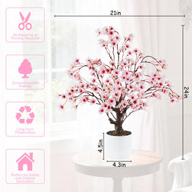 Caxchiling Cherry Blossom Tree 2ft desk centerpiece for spring vibes