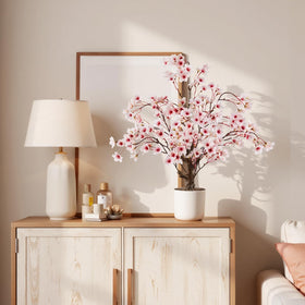 Caxchiling Cherry Blossom Tree 2ft living room decor with soft pink blooms